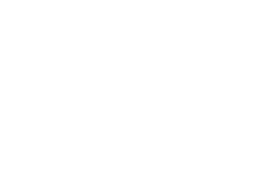 Parkettstudio_white